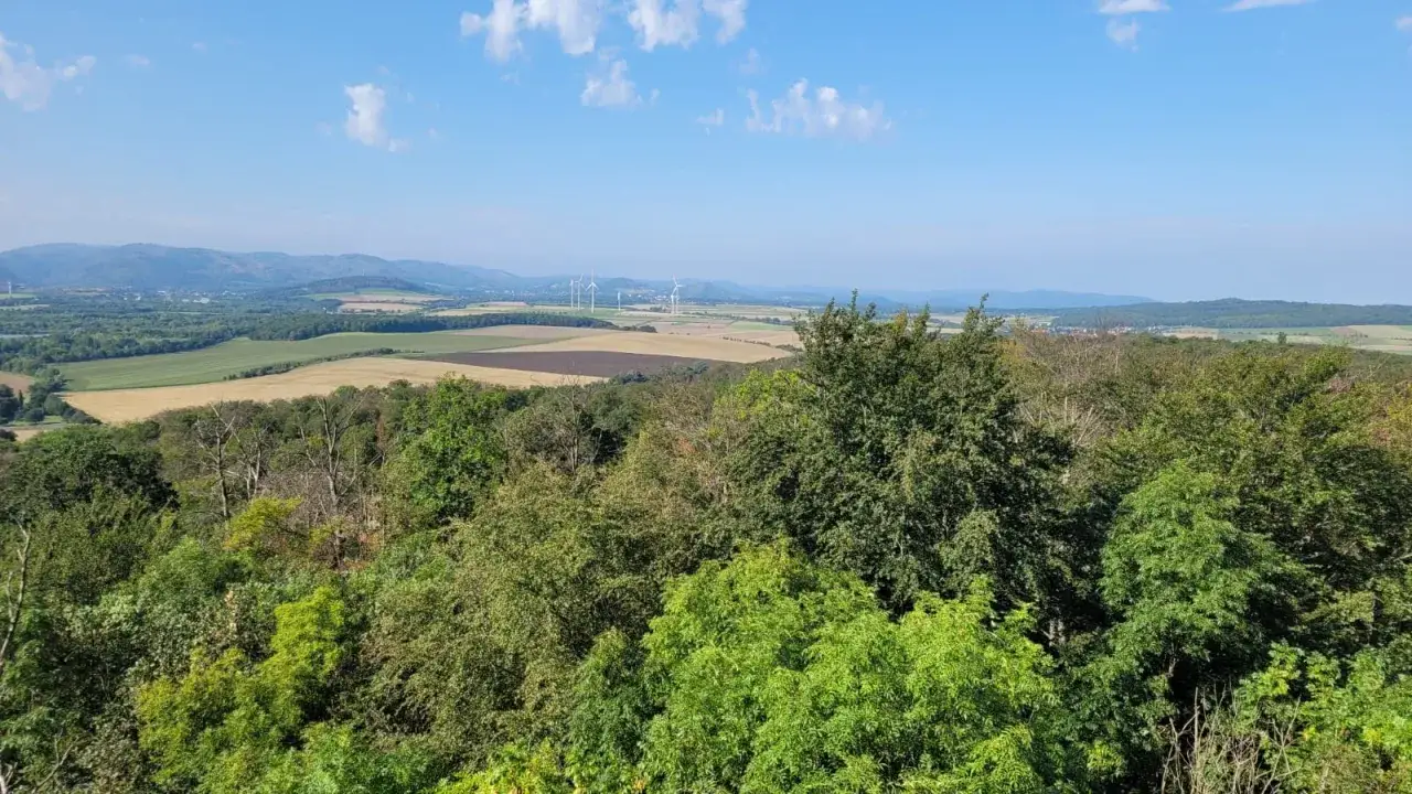 Blick &uuml;ber gr&uuml;ne W&auml;lder auf Felder und Windr&auml;der in der Ferne. Im Hintergrund erheben sich sanfte H&uuml;gel, die an den **Goslar See** erinnern k&ouml;nnten.