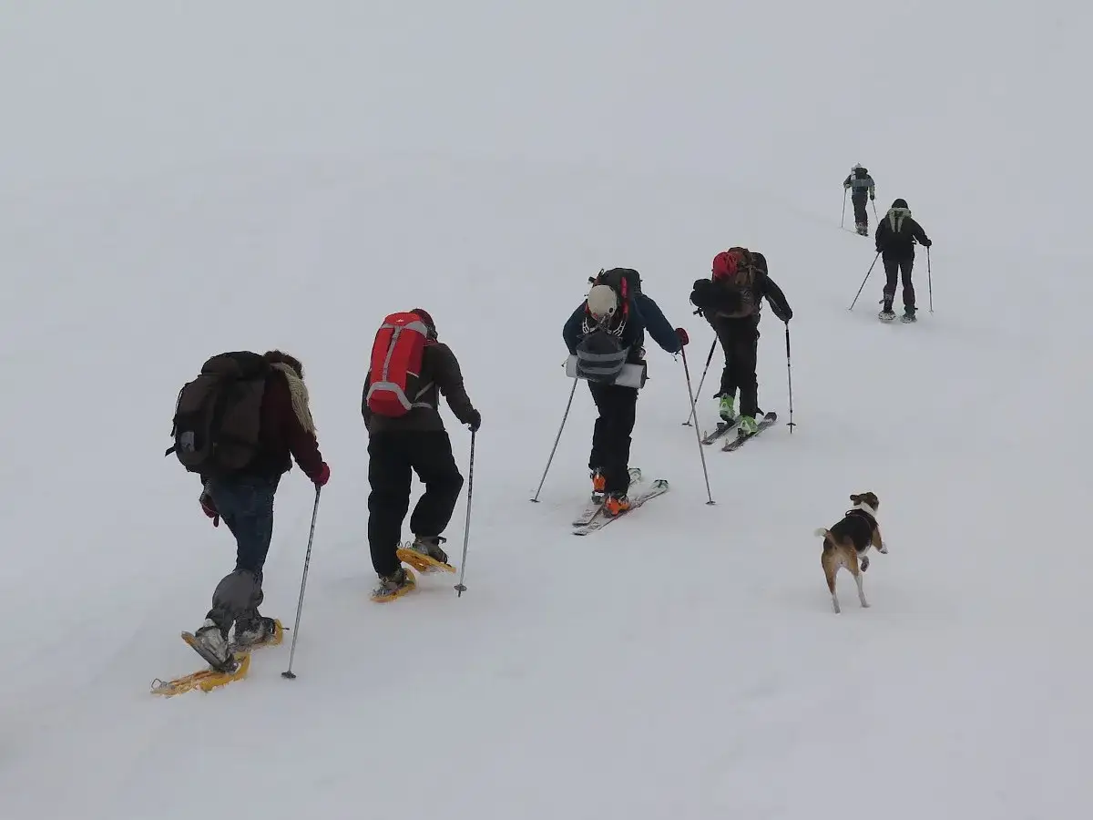 Grupo de personas en una ruta con raquetas de nieve y esqu&iacute;s, acompa&ntilde;ados por un perro, ascendiendo una colina nevada.