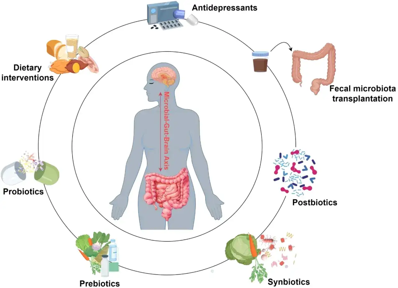 Oś jelito-m&oacute;zg: psychobiotyki na depresję, probiotyki, prebiotyki, synbiotyki, postbiotyki, transplantacja mikrobioty kałowej i interwencje dietetyczne.