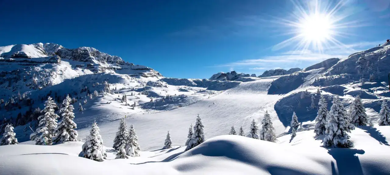 Sole splendente su **Madonna di Campiglio**, montagne innevate e piste da sci perfette. Alberi coperti di neve creano un paesaggio da fiaba.