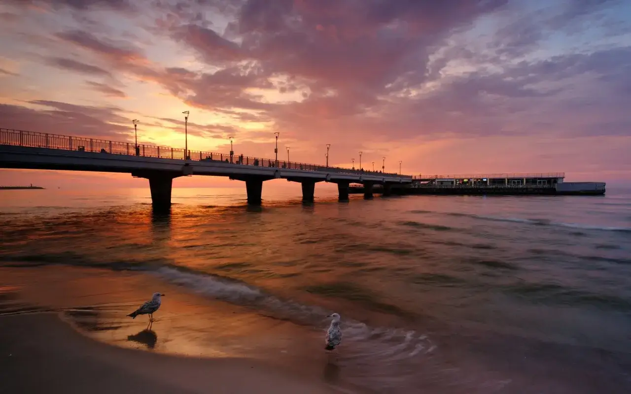 Zachód słońca w Kołobrzegu nad morzem. Dwa mewy na plaży, molo i budynek na wodzie w odcieniach pomarańczy i różu.