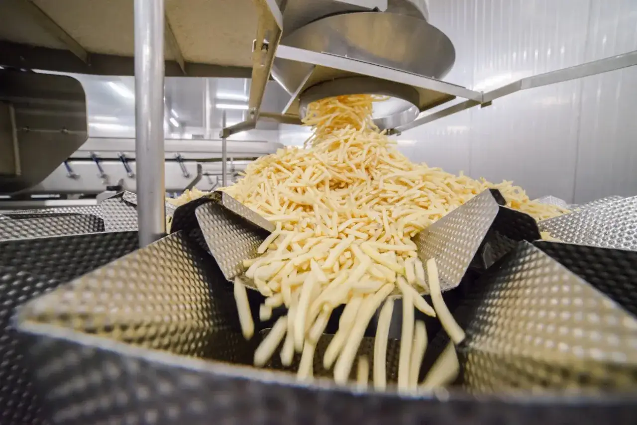 Góra ziemniaków, które staną się ulubionymi frytkami mcdonald, spada na taśmociąg.
