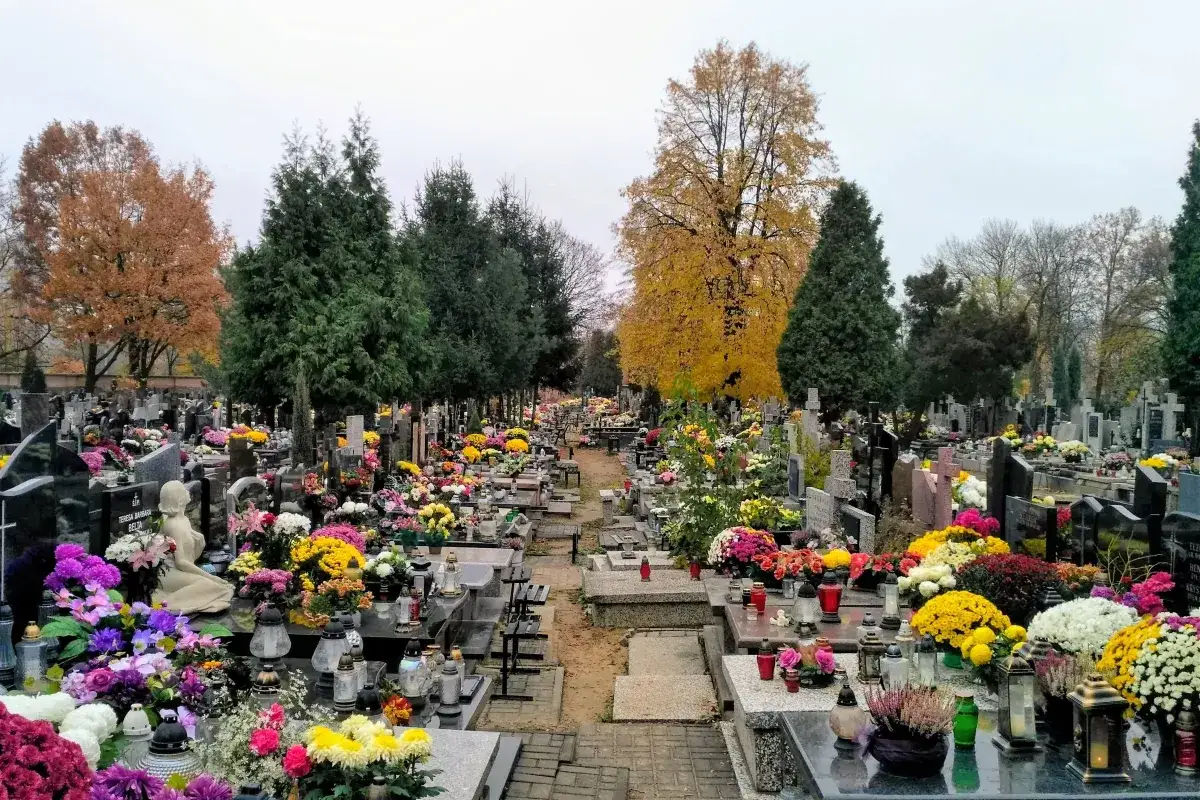 Cmentarz jesienią, mnóstwo kwiatów i zniczy. W oddali widać drzewa w jesiennych barwach, sugerujące czas zadumy i pamięci, być może związany z likwidacją grobu.