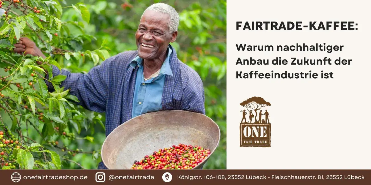 Ein lachender Kaffeebauer erntet Kaffeekirschen. Ist Fairtrade wirklich fair? Nachhaltiger Anbau sichert die Zukunft der Kaffeeindustrie.