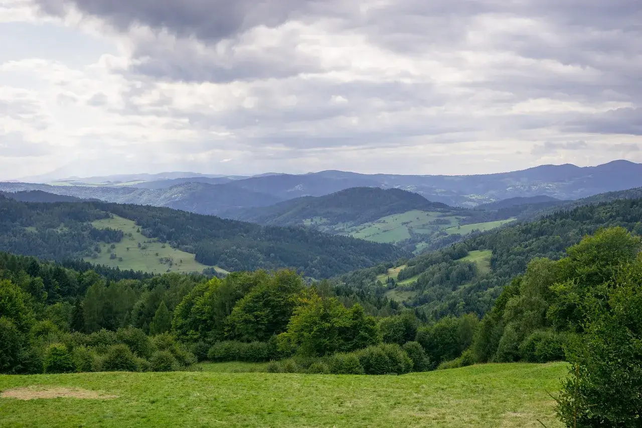 Malowniczy krajobraz Beskidu Sądeckiego, zielone wzgórza i lasy wzdłuż trasy na Halę Łabowską.