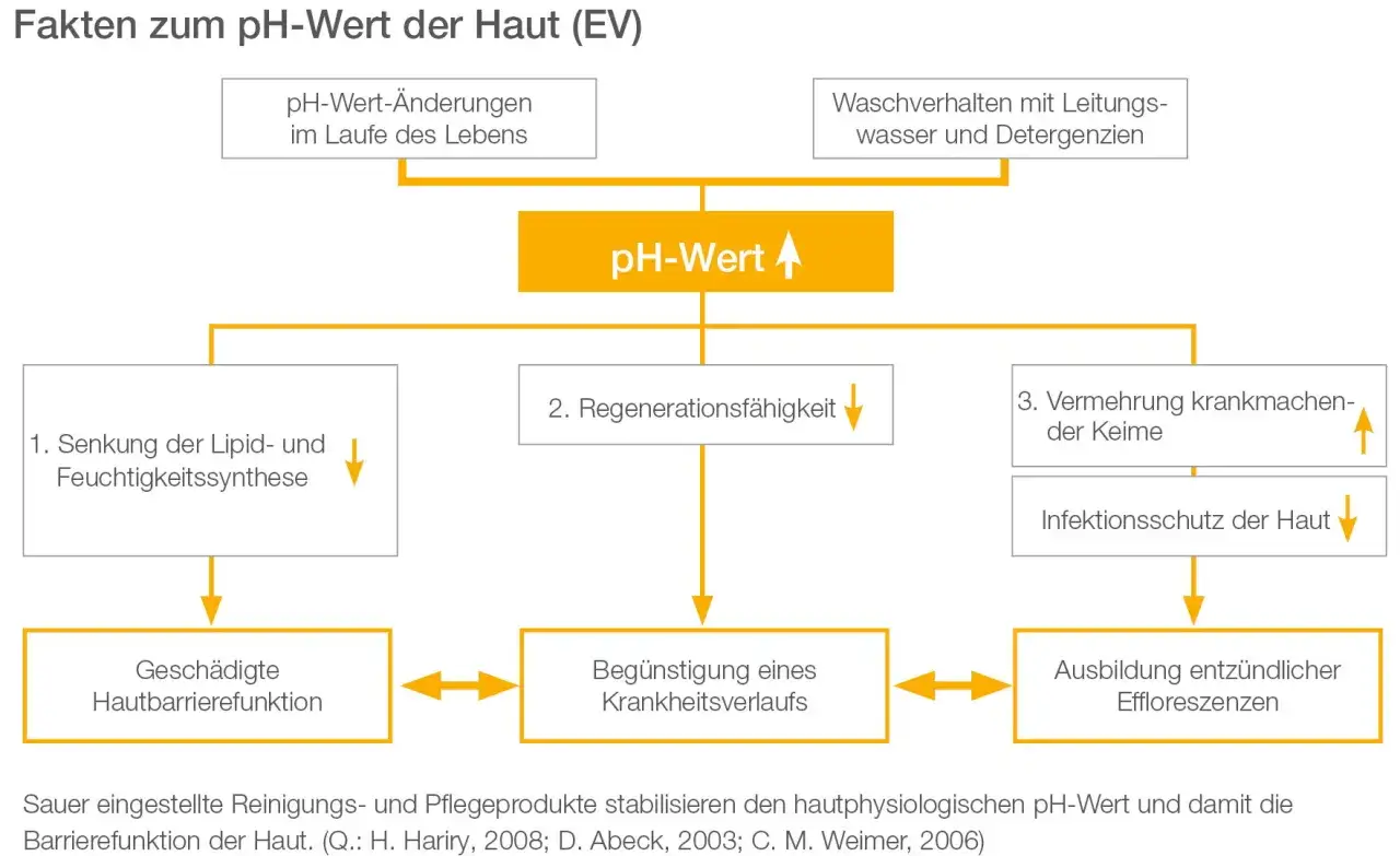 Diagramm zeigt, wie der pH-Wert der Haut durch verschiedene Faktoren beeinflusst wird, was zu gesch&auml;digter Hautbarrierefunktion und Entz&uuml;ndungen f&uuml;hren kann.