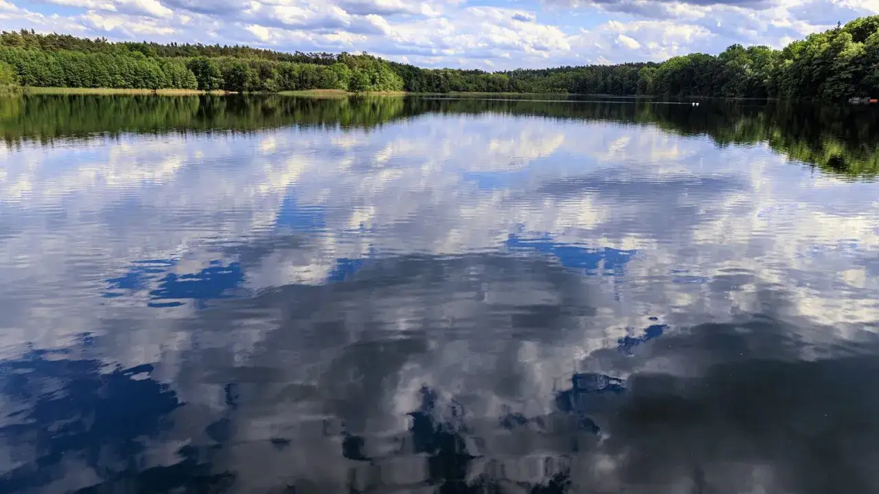 Spokojna tafla wody odbija niebo z chmurami, otoczona zielonym lasem. To jedno z najładniejszych jezior w Wielkopolsce.