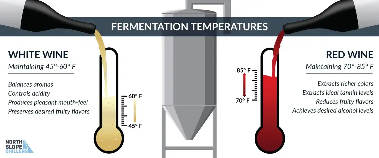 Białe wino fermentuje w 45-60°F, czerwone w 70-85°F. Kluczowa jest temperatura fermentacji wina dla smaku i koloru.