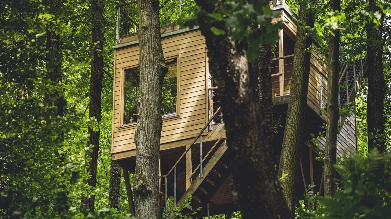 Różne typy zakwaterowania w Polsce (hotel, domek na drzewie, glamping)