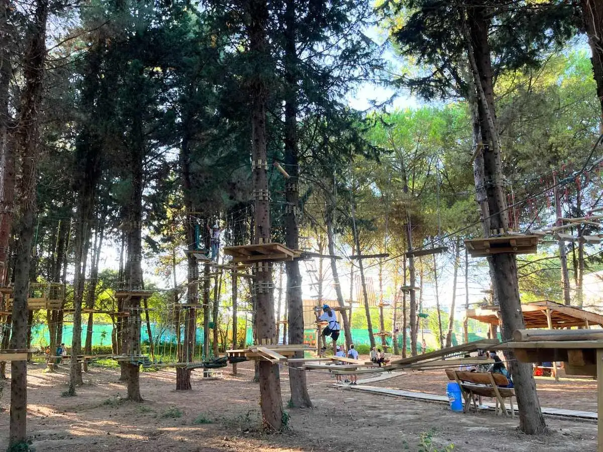 Un uomo in un parco avventura Marche si muove su un percorso sospeso tra gli alberi. Percorsi e piattaforme in legno creano un'emozionante avventura nella natura.