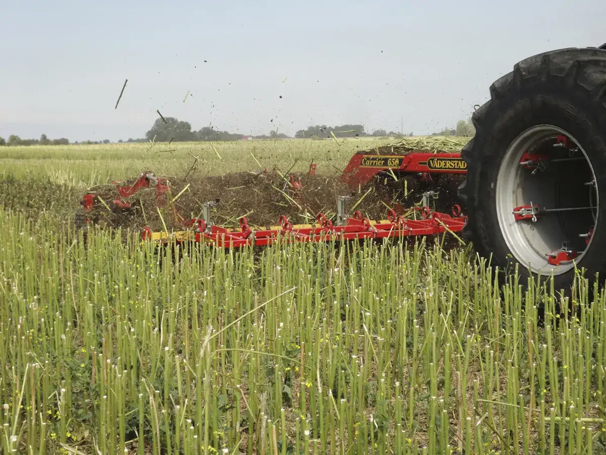 Traktor mit einem Vaderstad Carrier 650 führt pfluglose Bodenbearbeitung durch und bearbeitet ein Feld mit Rapstoppeln.