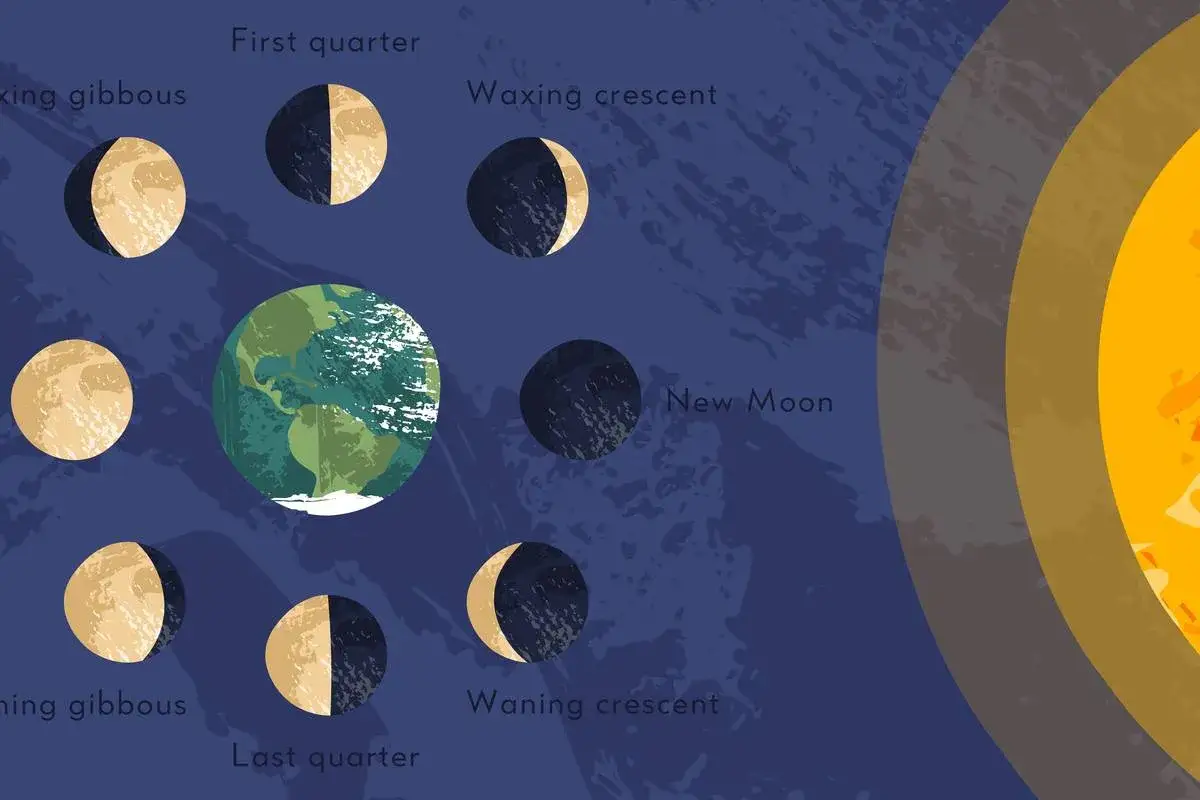 Illustrazione delle fasi lunari: dalla luna nuova alla luna piena, passando per le gibbose e i quarti.