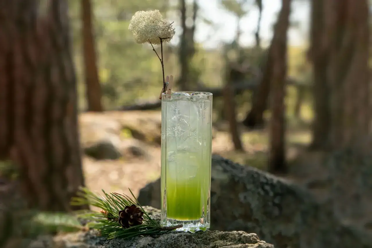 En uppfriskande granskottssirap drink med is, dekorerad med en torkad blomma och en kotte p&aring; en sten i skogen.