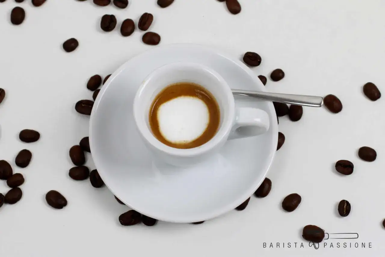 Ein Espresso Macchiato: ein kleiner Espresso mit einem Klecks Milchschaum. Kaffeebohnen umgeben die Tasse.