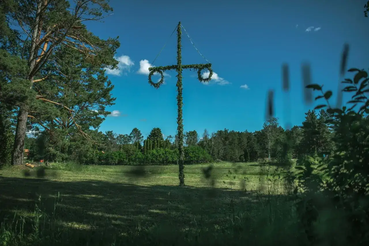 En midsommarstång dekorerad med grönt står på en gräsmatta under en klarblå himmel.