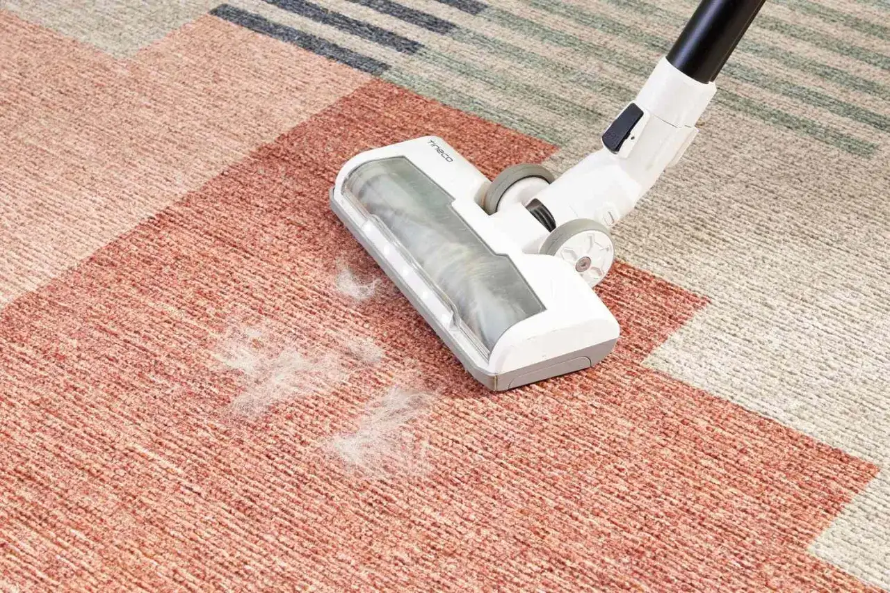 A vacuum cleaner head is shown on a patterned rug, demonstrating how to wash a rug by removing pet hair and debris.