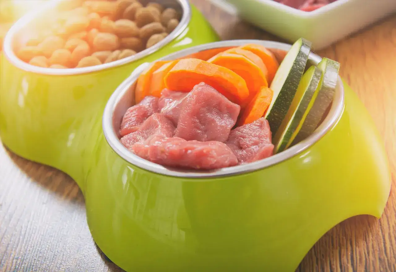 Dos tazones con comidas para perros: uno con pienso y otro con carne cruda, zanahoria y calabacín.