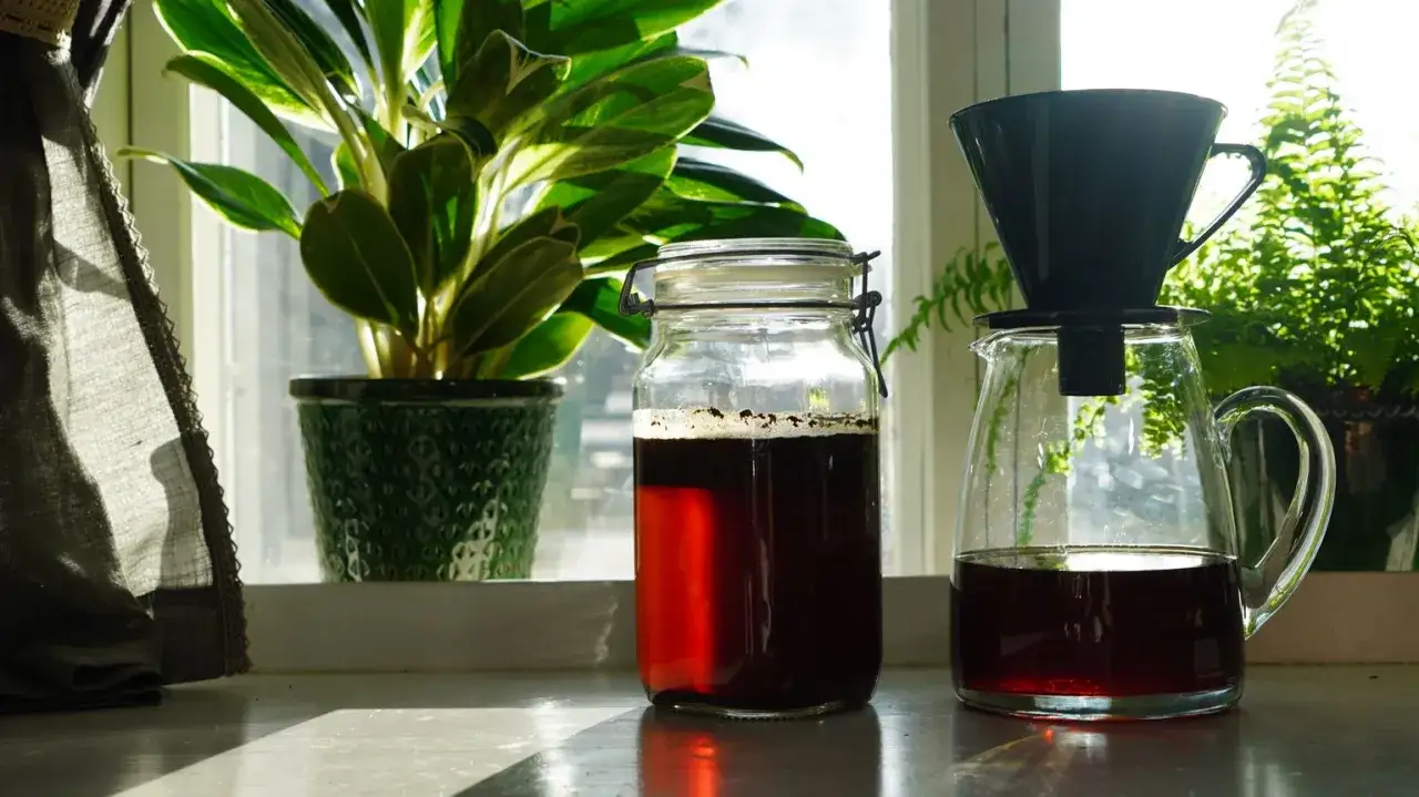 En burk med kallbryggt kaffe står bredvid en karaff med färdigt kaffe. Gröna växter och solljus skapar en mysig atmosfär.