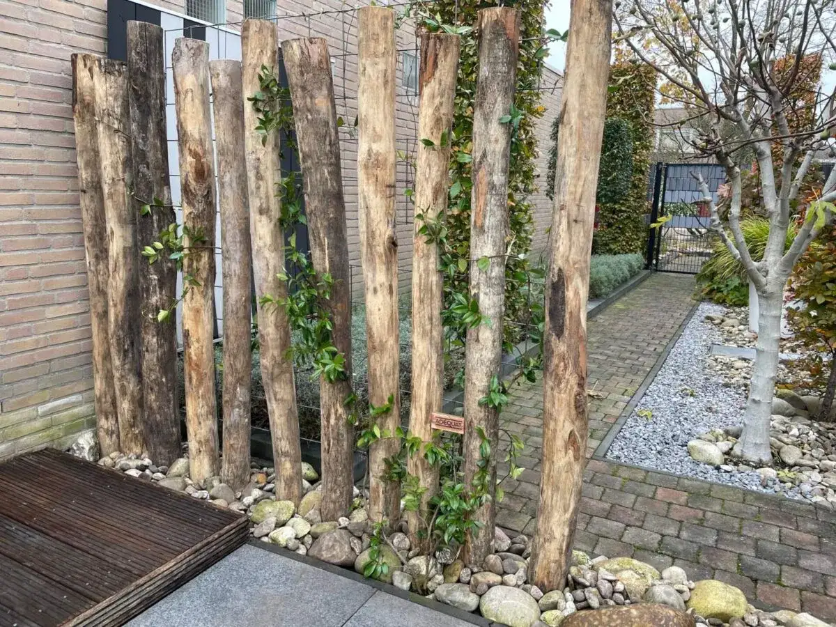 Nat&uuml;rliche Rankhilfe selber bauen aus Holzst&auml;mmen, die mit Kletterpflanzen bewachsen sind. Ein rustikaler Blickfang im Garten.