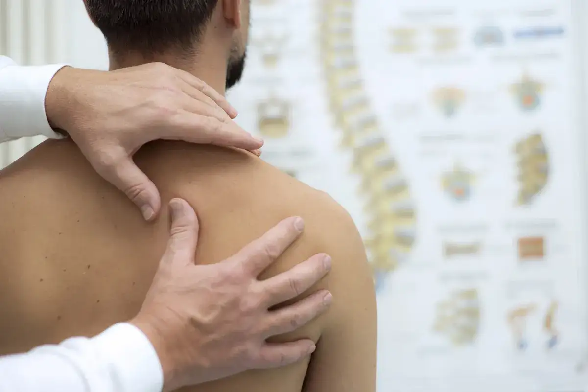 Mains expertes prodiguant un massage omoplate, soulageant la tension. Au fond, un schéma anatomique du corps humain.