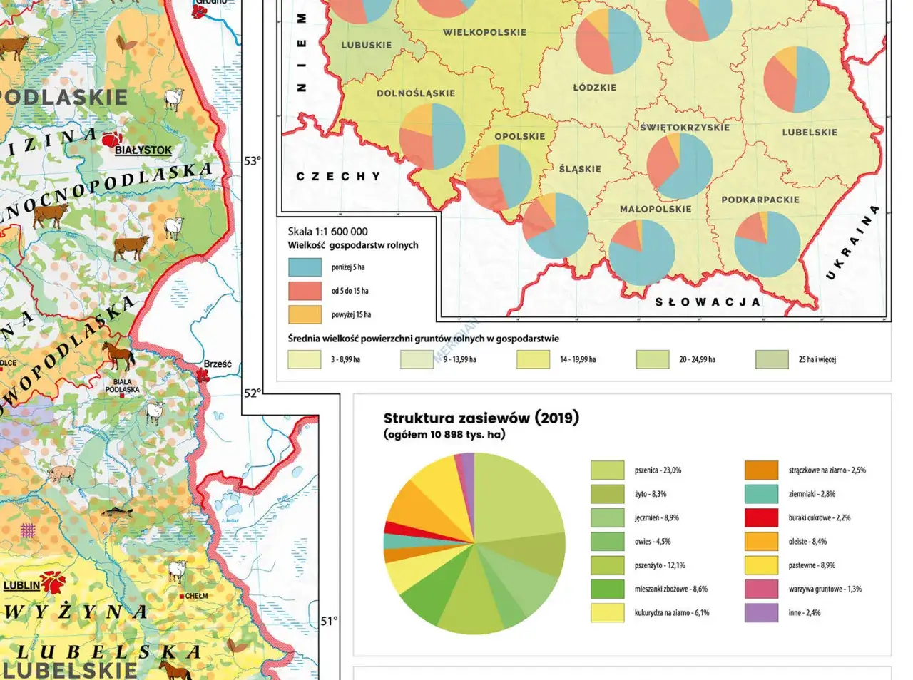 Mapa Polski z zaznaczonymi obszarami rolniczymi i hektarami przeliczeniowymi
