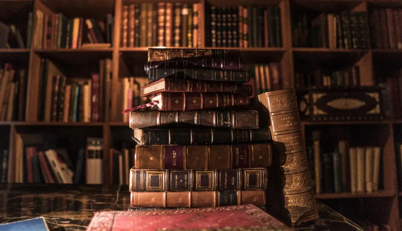 Stapel alter B&uuml;cher vor einem B&uuml;cherregal. Hier finden sich sicher Romane, die man gelesen haben muss, und Sch&auml;tze der Literatur.
