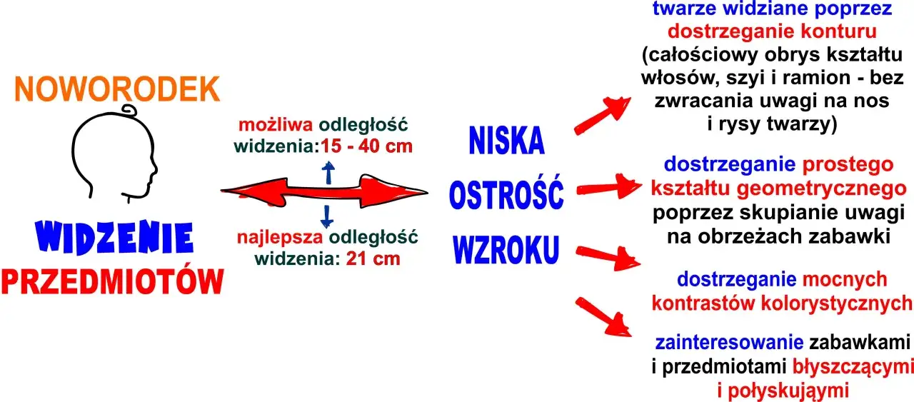 Jak widzi noworodek: niska ostrość wzroku, widzi kontury twarzy, proste kształty i mocne kontrasty. Najlepsza odległość widzenia to 21 cm.