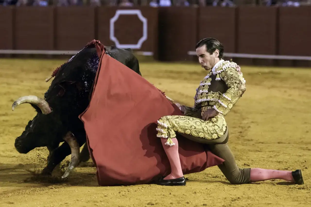Jose Garrido, torero, se arrodilla ante un toro bravo en la arena, con la muleta roja extendida.