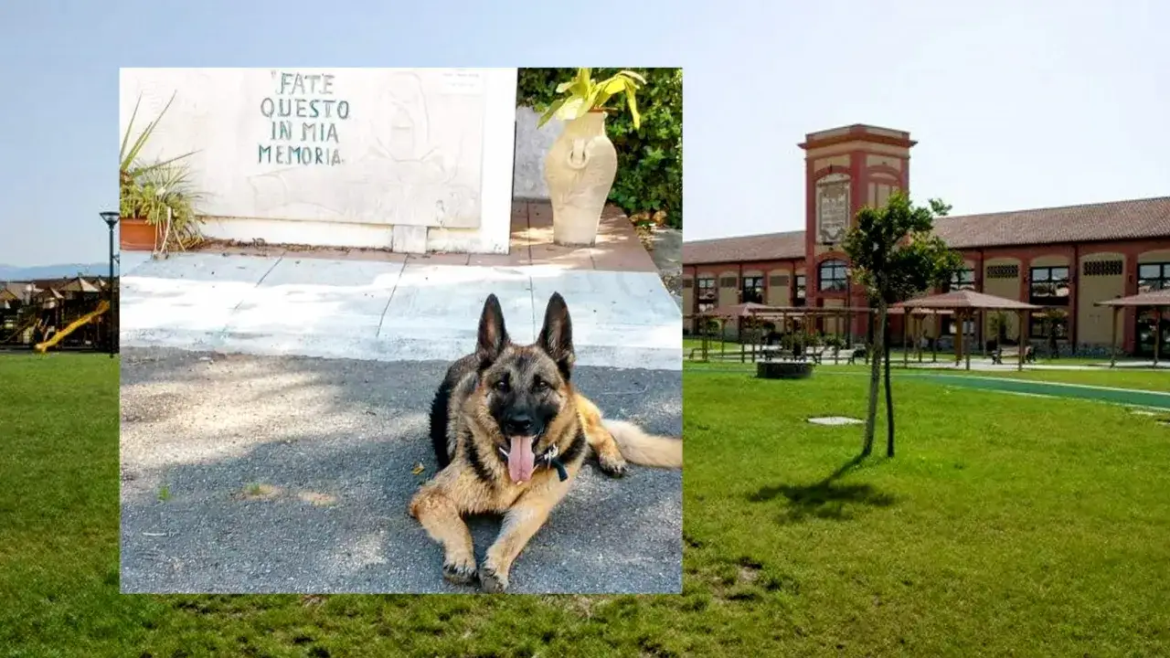Un pastore tedesco riposa davanti a un memoriale con la scritta