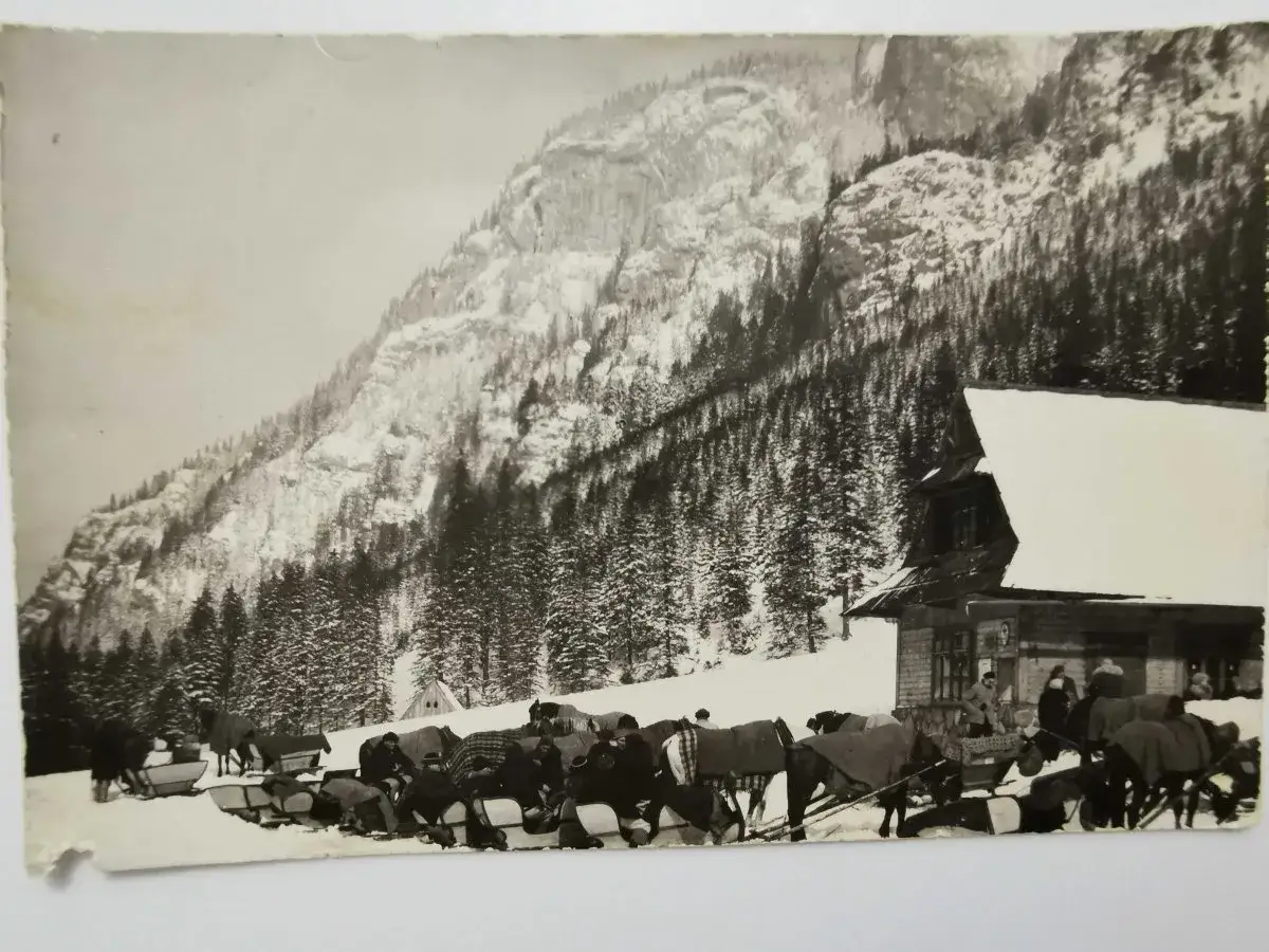 Zimowa hala pisana tatry. Konie z zaprzęgami czekają przed schroniskiem na górskim szlaku.
