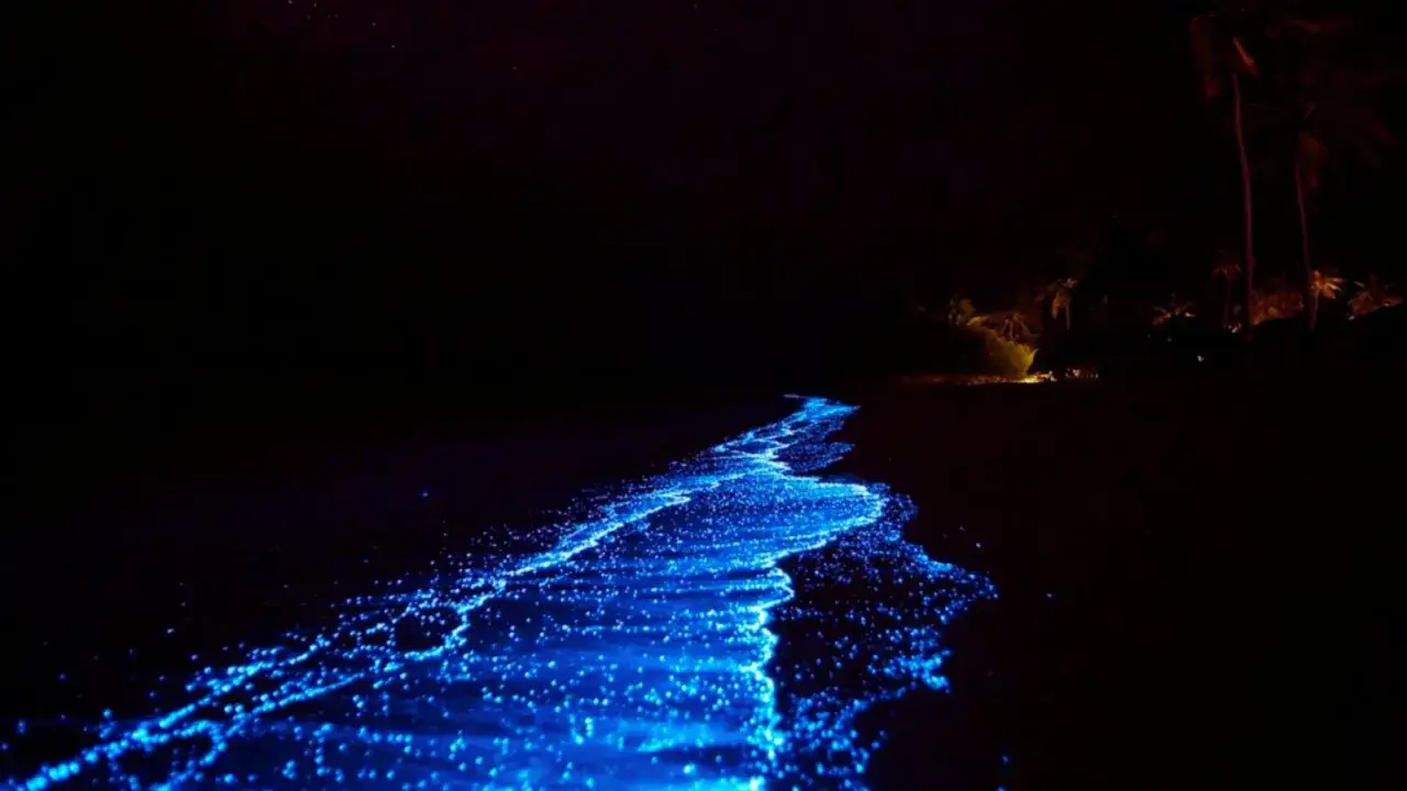 Nocny spacer po plaży na Malediwach, gdzie morze gwiazd tworzy świetlisty szlak.