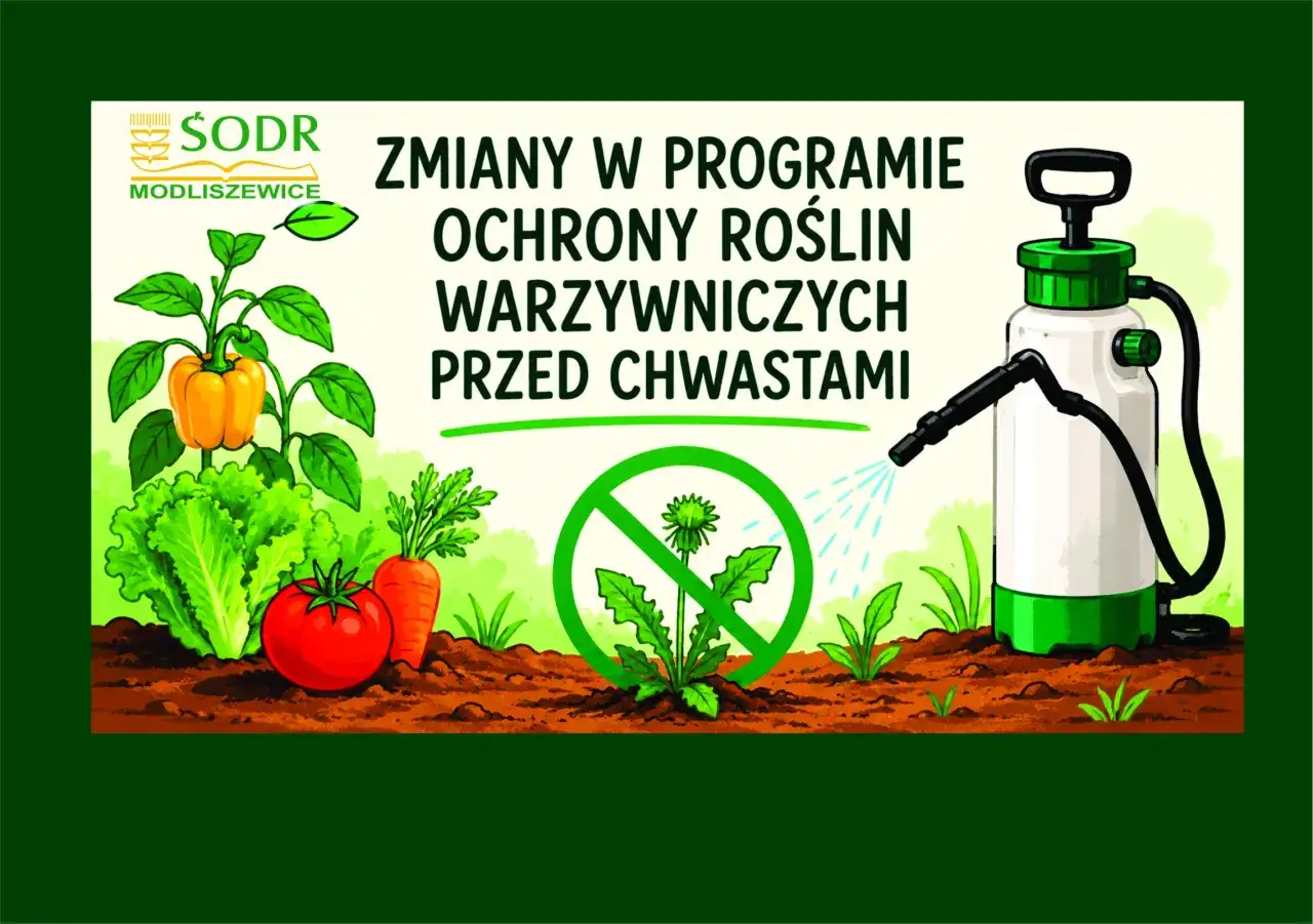 Zmiany w ochronie roślin warzywnych przed chwastami. Agrosar wspiera zdrowe plony.
