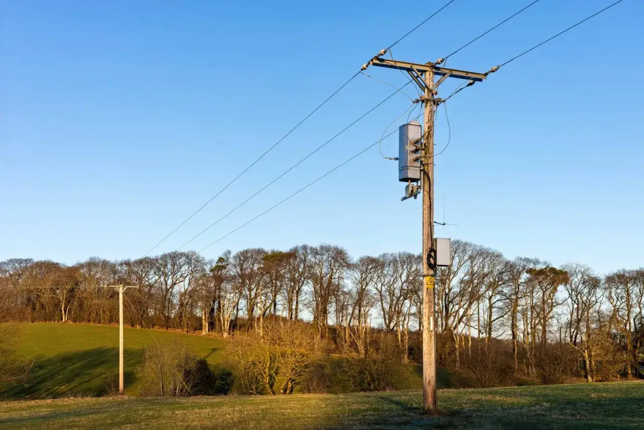 Słup energetyczny na tle nieba i drzew. Zastanawiasz się, ile można dostać za słup na działce?