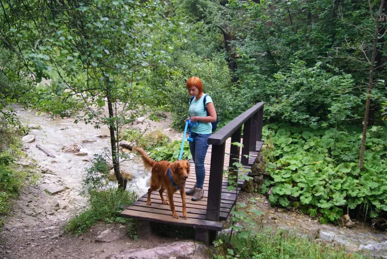 Spacer po wąwozie Homole z psem. Kobieta z rudym psem na smyczy na drewnianym mostku nad strumieniem.
