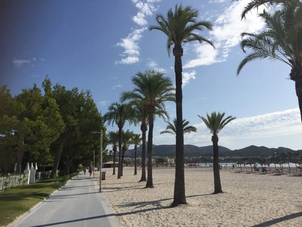 Palmen säumen den Weg am Alcudia Strand. Menschen spazieren und entspannen sich im Sand unter Sonnenschirmen.