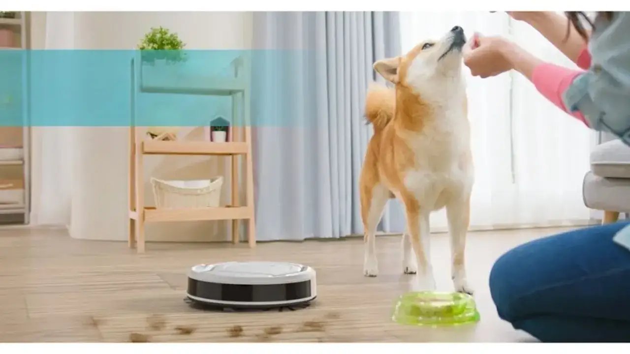 Un robot aspirador limpia el suelo mientras un perro espera una golosina. &iexcl;Un hogar inteligente y limpio!