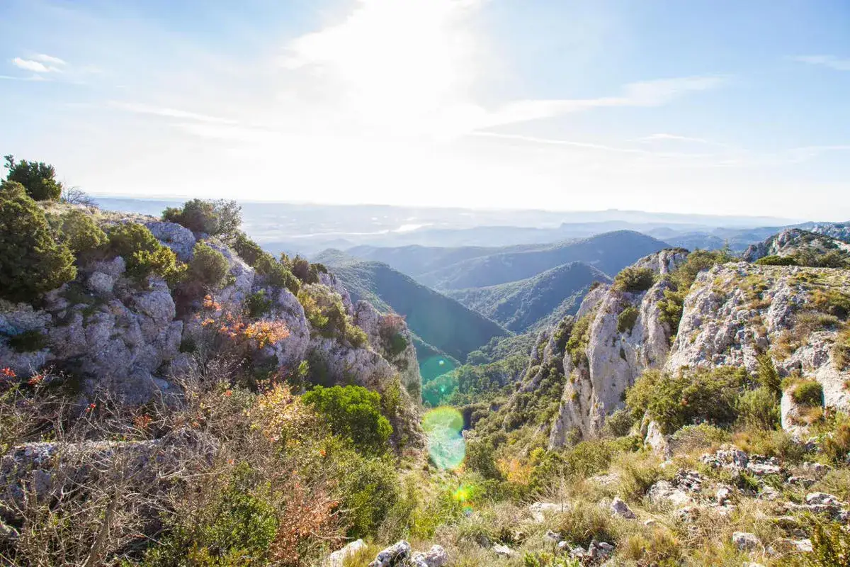 Vue panoramique sur la **for&ecirc;t des C&egrave;dres**, avec des falaises rocheuses et des collines verdoyantes sous un ciel bleu lumineux.