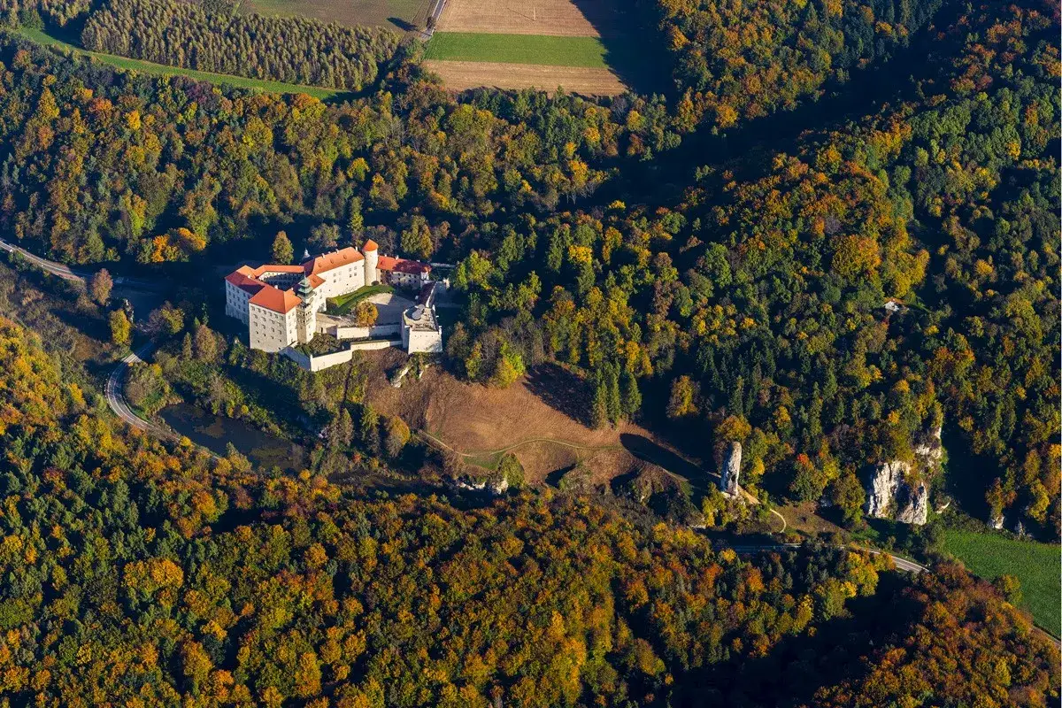 Zamek na skale otoczony jesiennym lasem. W oddali widać charakterystyczną pieskową skałę.