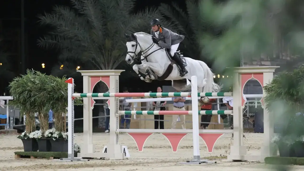 Un cavalier et son cheval blanc s'envolent au-dessus d'une barrière lors d'une compétition équestre.