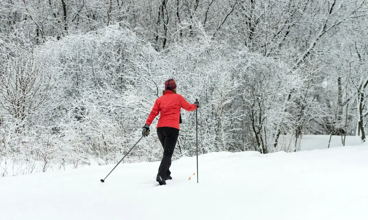 En person &aring;ker l&auml;ngdskidor i en sn&ouml;t&auml;ckt skog, en klassisk vy av Stockholm p&aring; vintern.