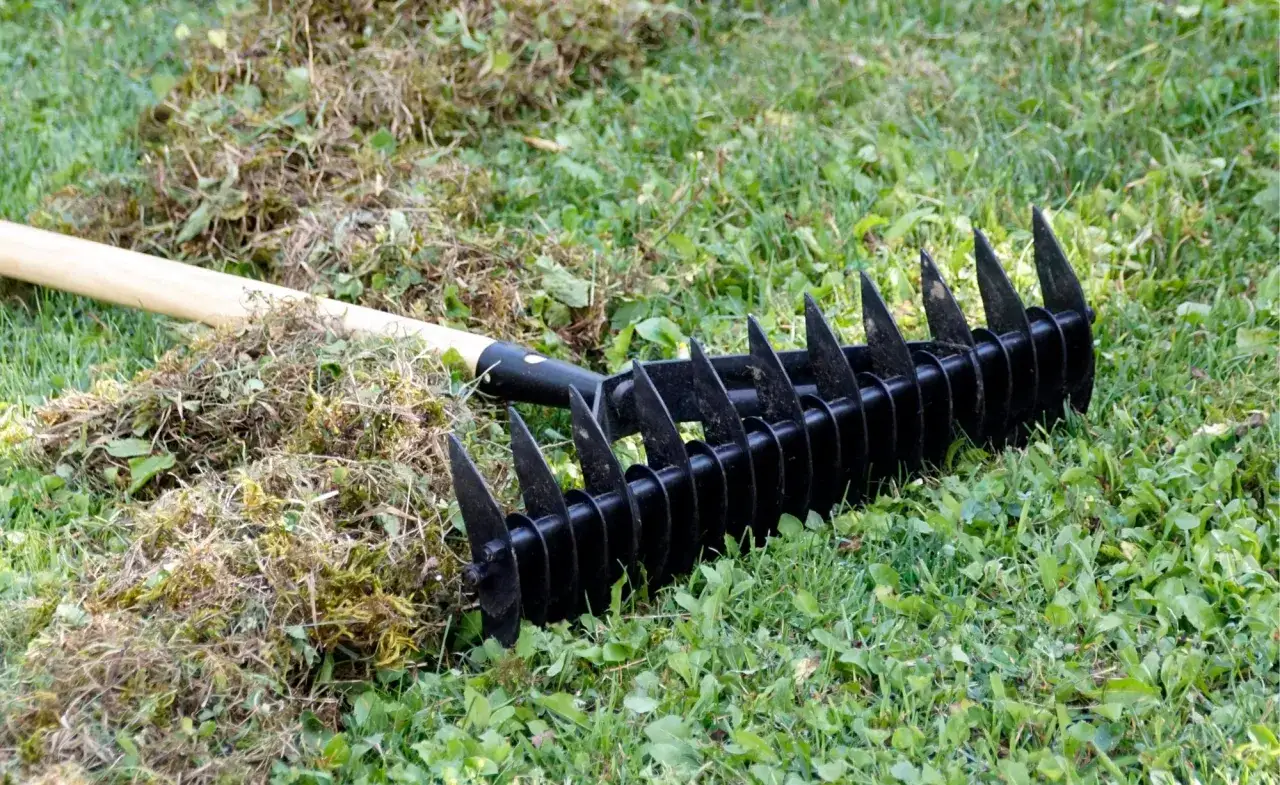 Ein Rechen liegt auf dem Rasen, bereit zum **Rasen vertikutieren**. Daneben liegt eine Harke mit Moos und vertrocknetem Gras.