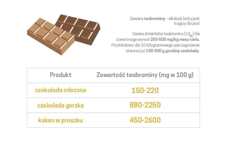niebezpieczne jedzenie dla psa, toksyczne składniki dla psów