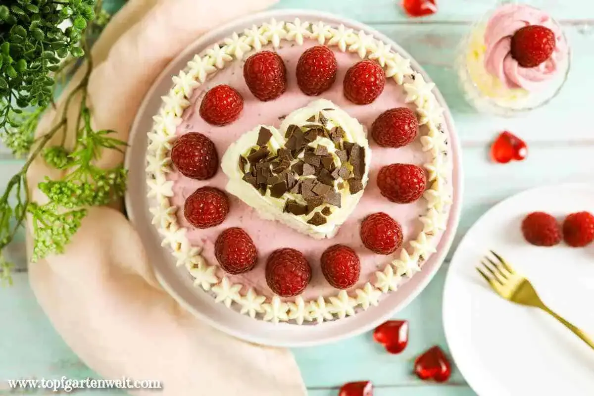 Himbeertorte mit Mascarpone, verziert mit frischen Himbeeren und Schokostreuseln. Ein s&uuml;&szlig;er Genuss f&uuml;r jeden Anlass.