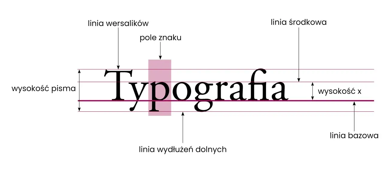 Diagram typograficzny wyjaśnia, co to jest interlinia, pokazując linie bazową, środkową, wersalików i wydłużeń.