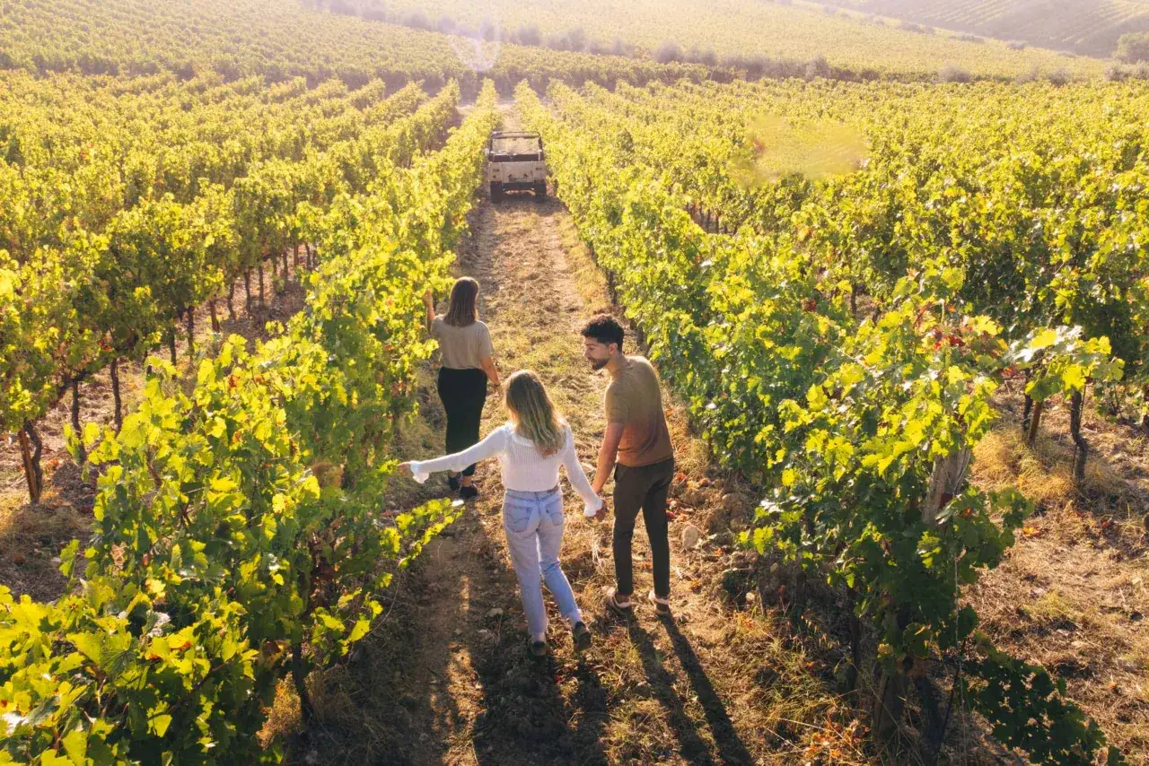 Coppia passeggia tra i filari di un vigneto al tramonto, esplorando le bellezze delle aziende vinicole del Chianti.