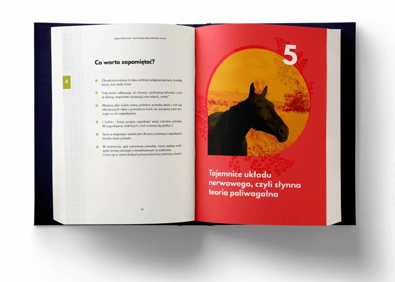 Jeździec i koń nawiązujący kontakt, książki o psychologii koni w tle