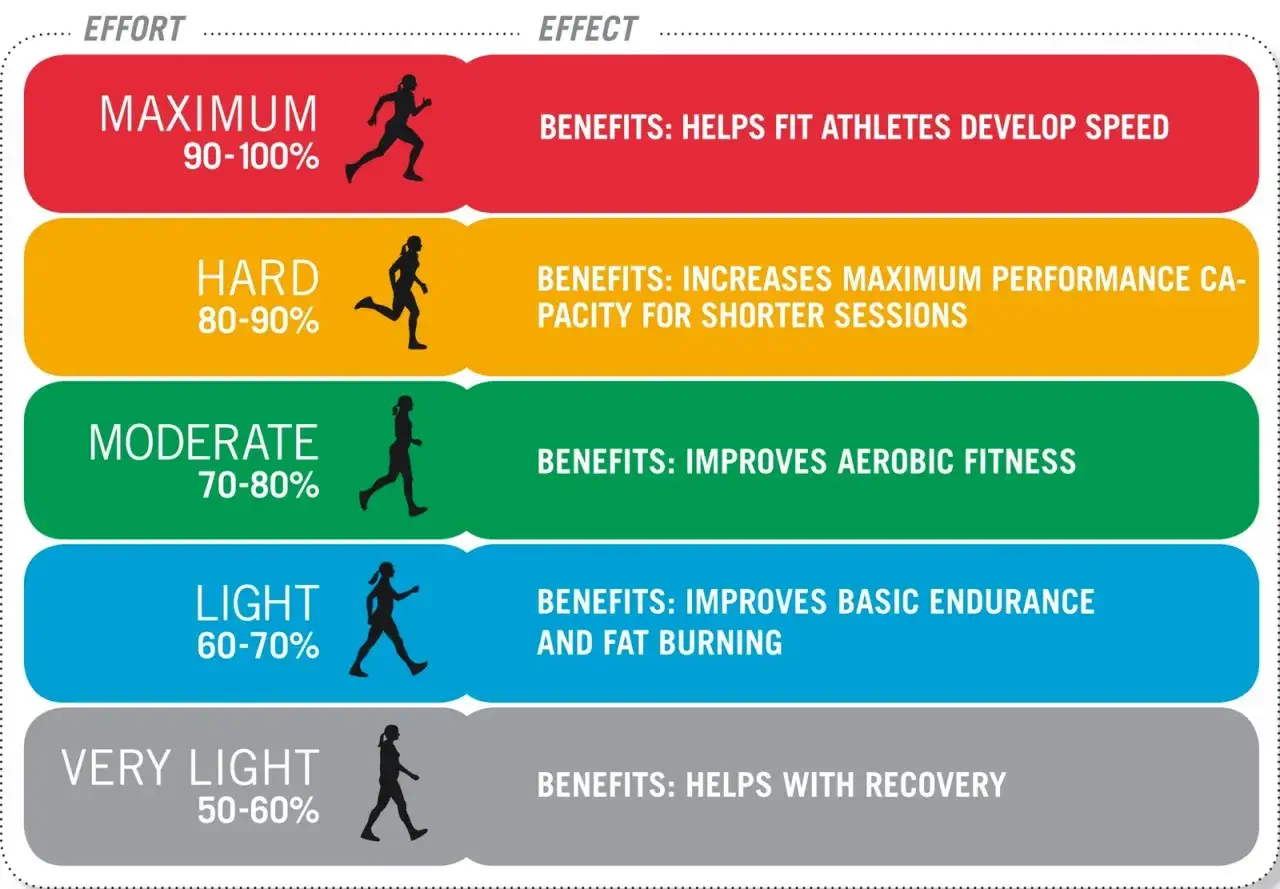 Trainingsintensitäten von Maximum bis sehr leicht, die den **cardiac drift** beeinflussen. Jede Stufe hat spezifische Vorteile für Fitness und Erholung.