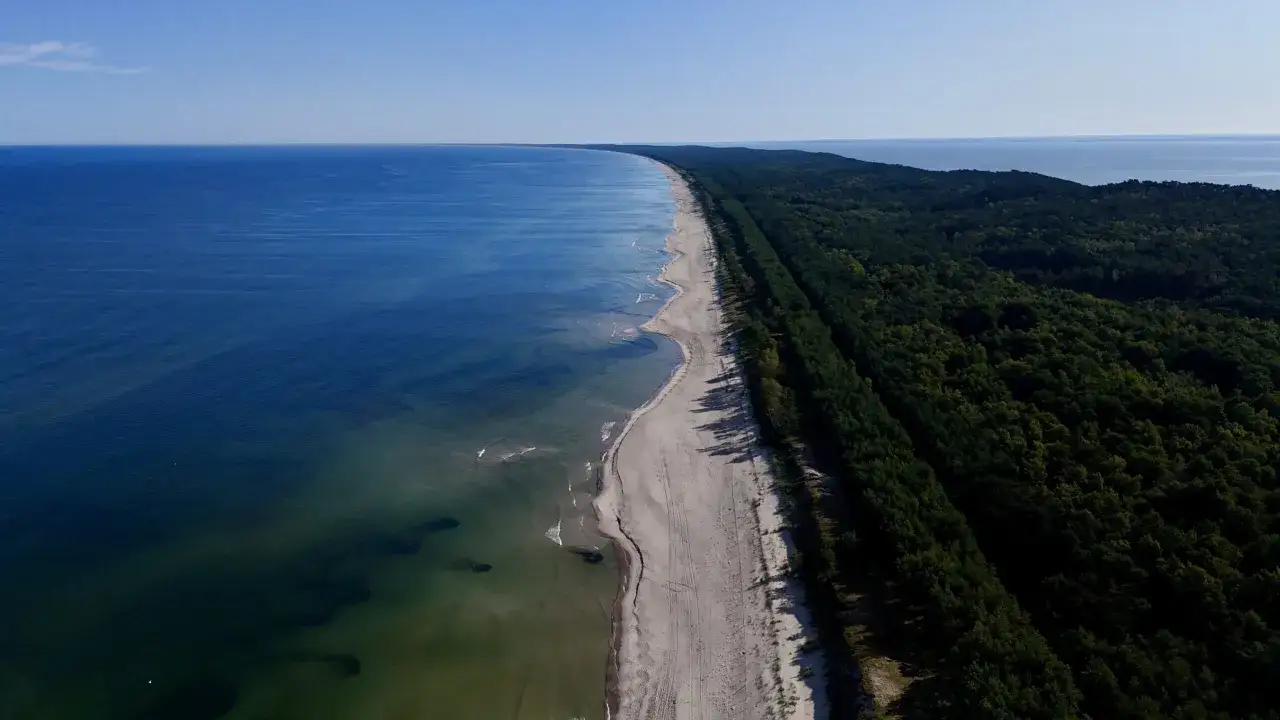 Długi, piaszczysty szlak nadmorski ciągnie się wzdłuż gęstego lasu sosnowego i błękitnego morza.