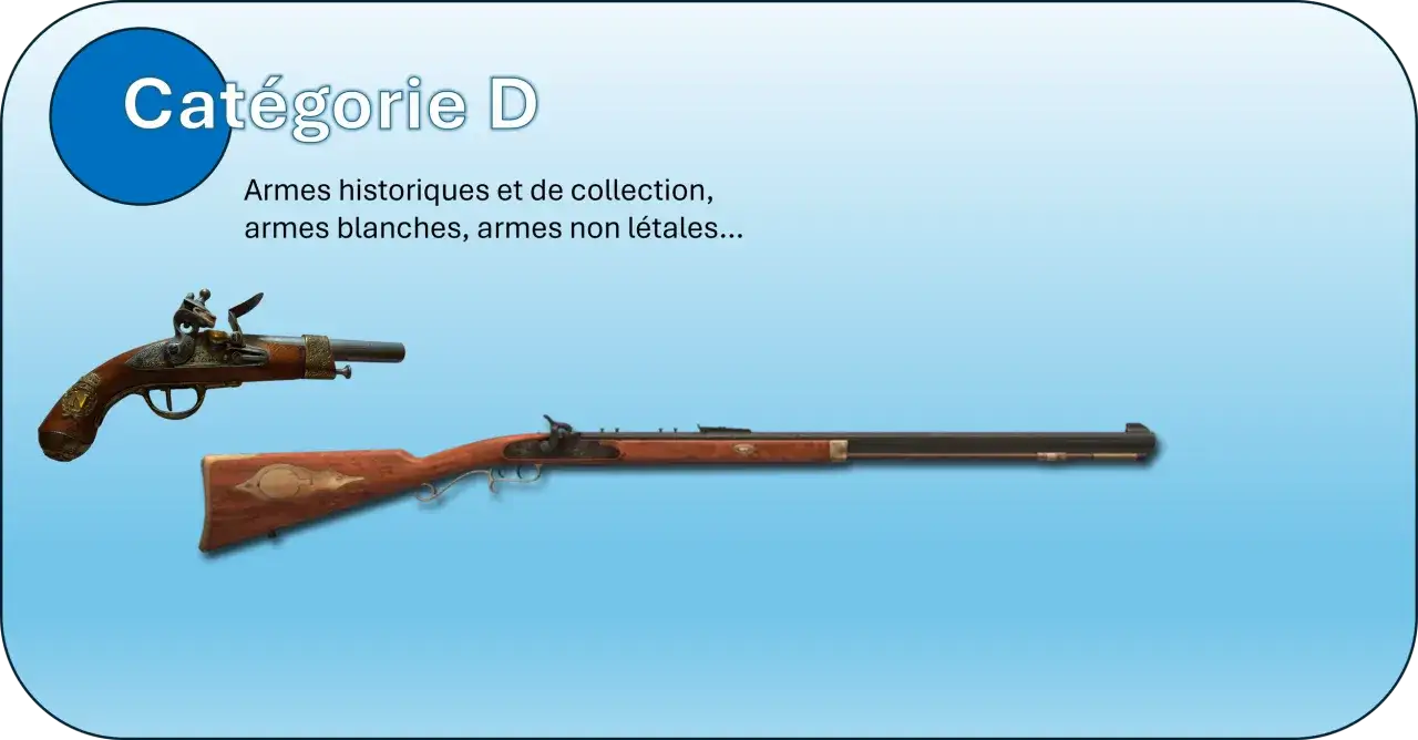 Pistolet à silex et fusil anciens, catégorie D. La puissance en joules est réglementée pour ces armes historiques.