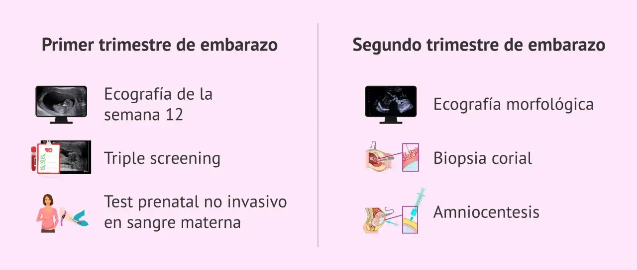 Primer y segundo trimestre de embarazo: ecograf&iacute;as, triple screening, biopsia corial y amniocentesis. &iexcl;Estoy embarazada y me cuido!